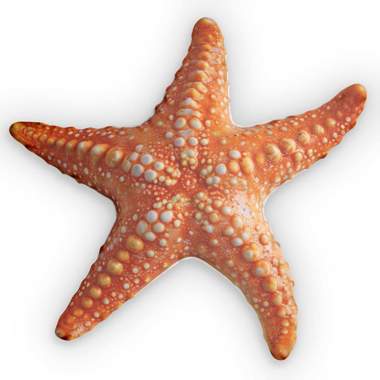 Starfish Shaped Coastal Decorative Accent Throw Pillow, Plush Gift