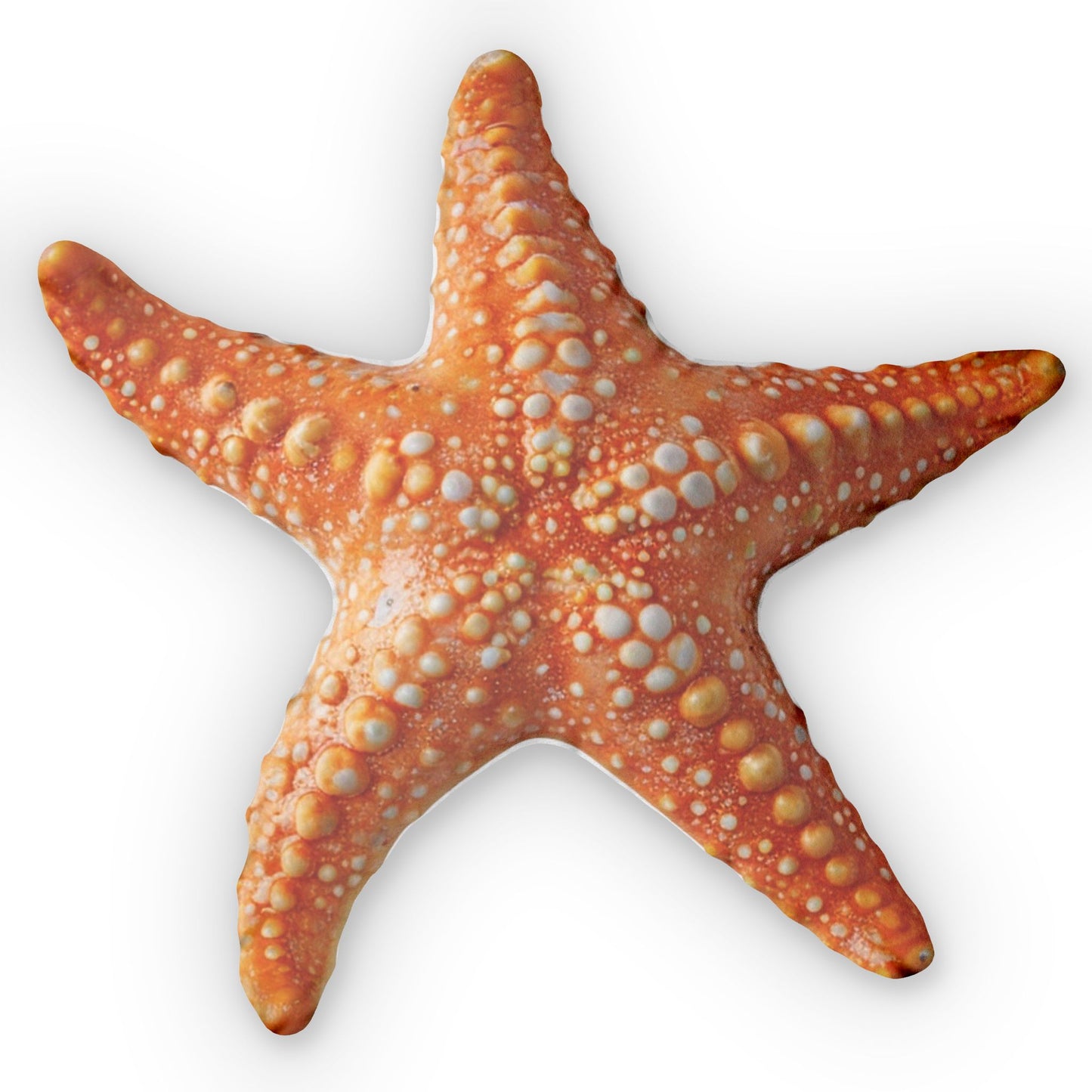 Starfish Shaped Coastal Decorative Accent Throw Pillow, Plush Gift