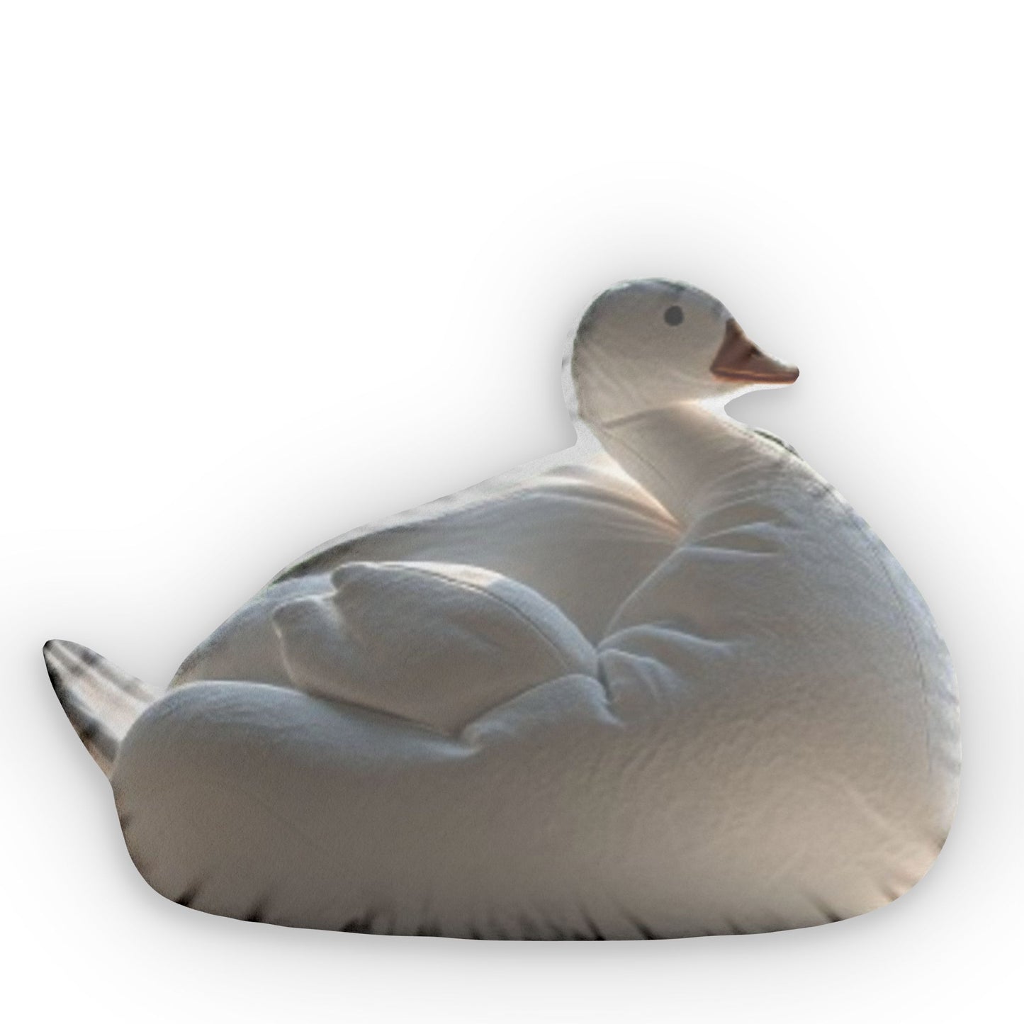 Duck Beanbag Plush Shaped Pillow